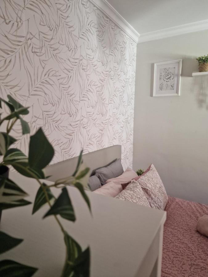 Picasso Apartment Малага Экстерьер фото